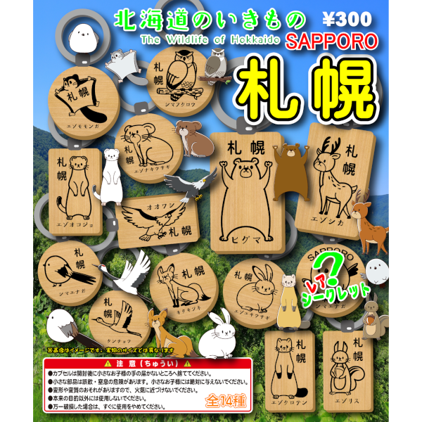 北海道のいきもの（札幌）