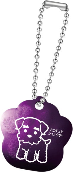 ミニチュアシュナウザー