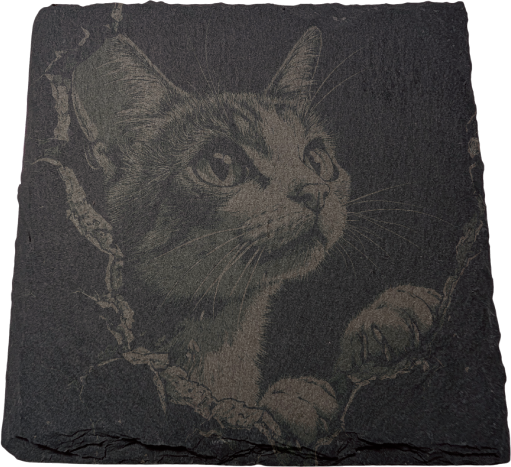 ねこ（アビシニアン）